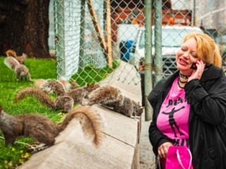 Woman feeding squirrels in Union Square Park, New York City NY027