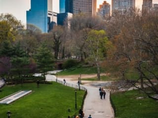 Spring sunset in Central Park, New York City. NY023