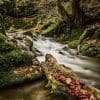 Below Janet's Foss waterfall, on Gordale Beck, near Malham, Yorkshire, England.