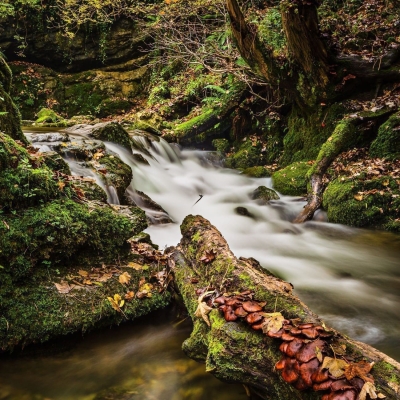 Below Janets Foss Waterfall Gordale Beck Near Malham