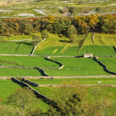 Fields Limestone Features Near Kettlewell Wharfedale