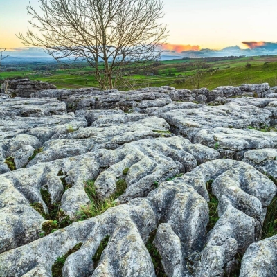 Lone Tree Edge Limestone Pavement Above Malham Cove