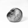 Rotting apple with mold.