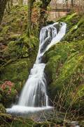 Stock Ghyll Force waterfall, near Ambleside, Cumbria, England.