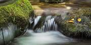 Water Passing Over Rocks Stock Ghyll Beck Near