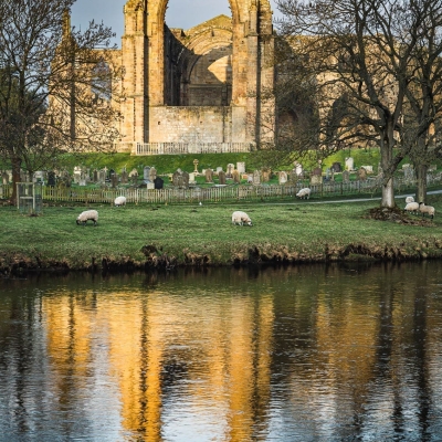 Bolton Priory and the River Wharfe, Yorkshire, England.