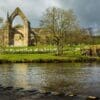 Bolton Priory and the River Wharfe, Yorkshire, England.