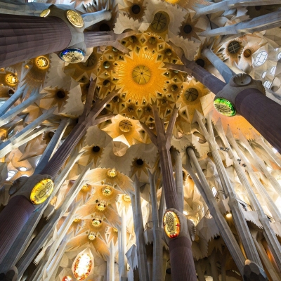 Interior view of the ceiling of La Sagra Familia basilica showing forest-like pillars and decoration as light filters through roof.