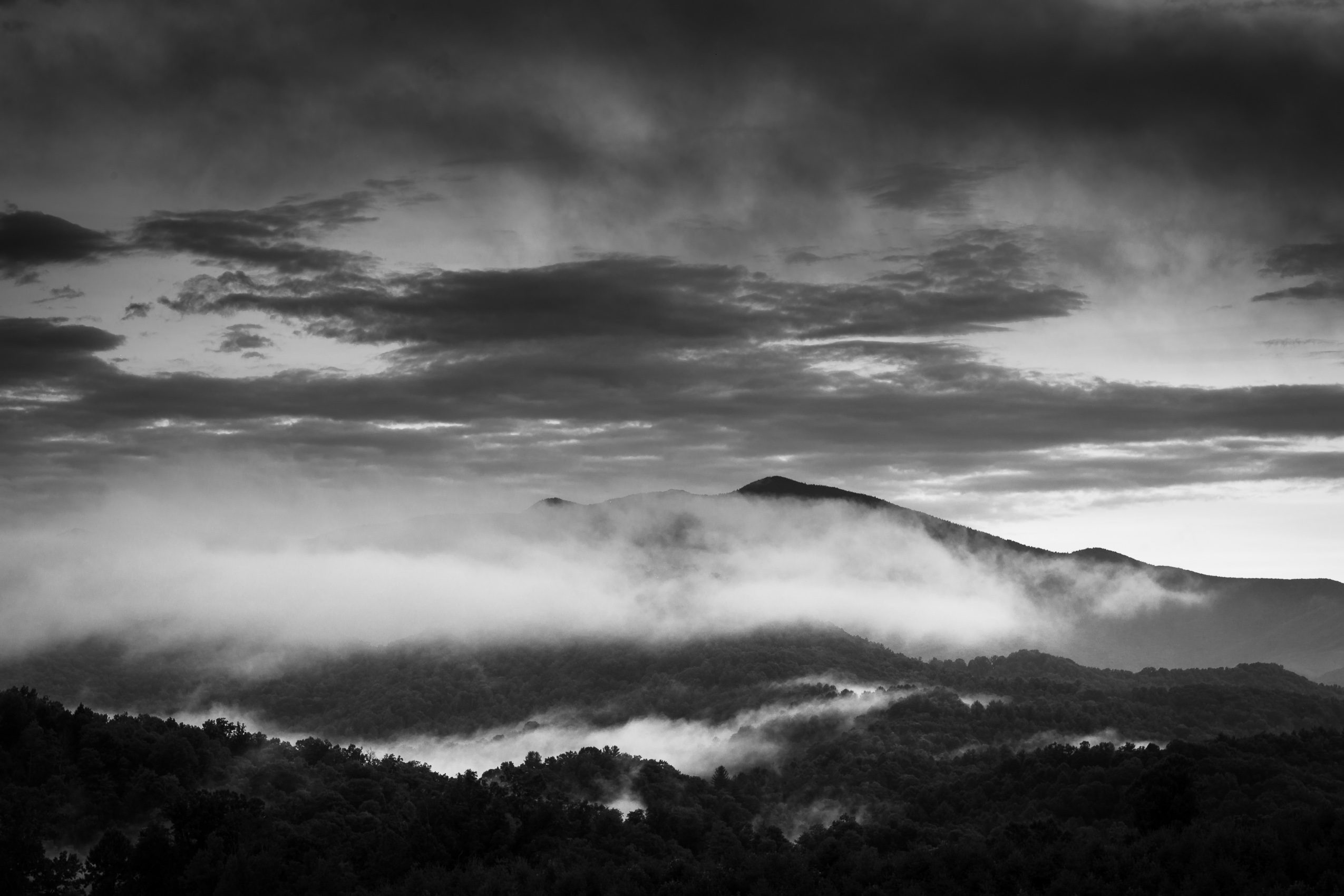 Mist on the Blue Ridge Mountains, North Carolina, USA. CM020