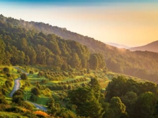 The terraces of The Orchard at Altapass on the Blue Ridge Parkway, North Carolina, USA. NC007