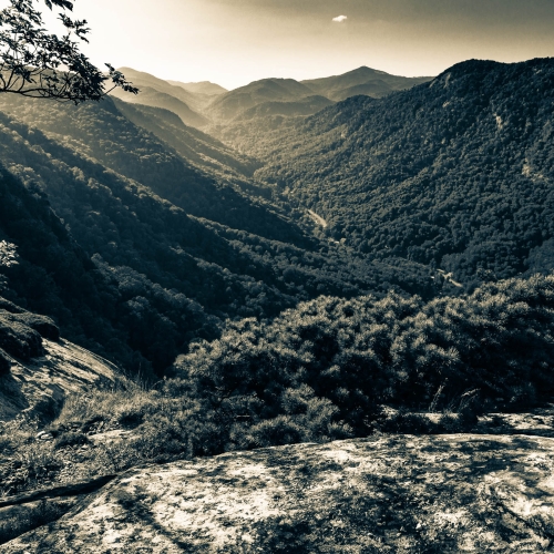 The view up Hickory Nut Gorge from Exclamation Point above Chimney Rock, North Carolina, USA. CM005