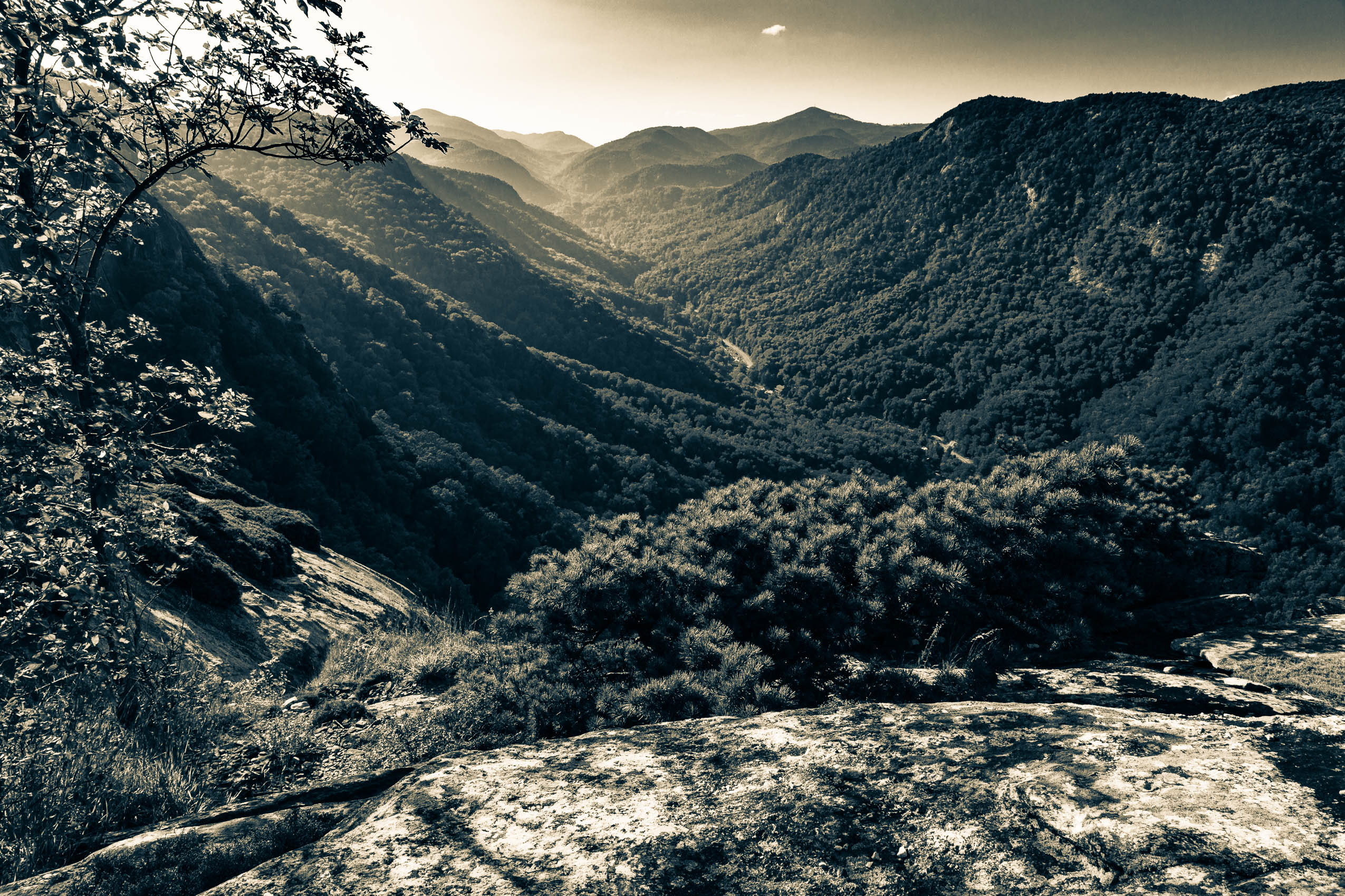 The view up Hickory Nut Gorge from Exclamation Point above Chimney Rock, North Carolina, USA. CM005