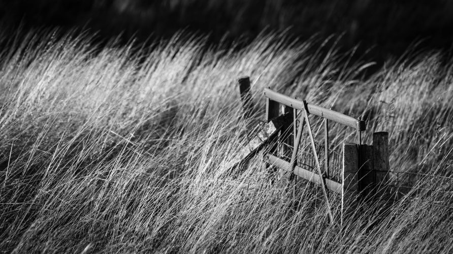 Broken down gate in long grass, Dunottar, Aberdeenshire, Scotland. SM021