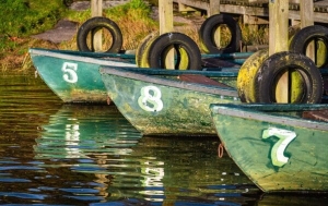 Boats at Monickie Country Park, Angus, Scotland. DD181