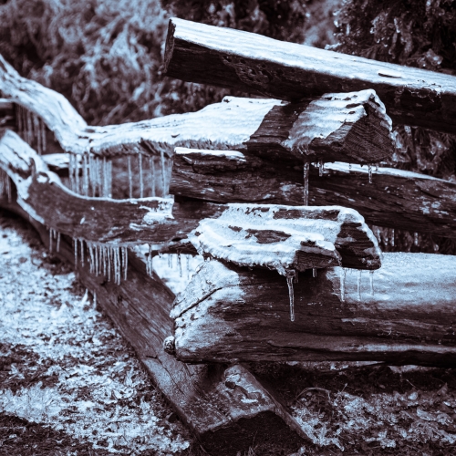 Duotone of ice-covered split-rail log fence near Little Switzerland, North Carolina, following an ice-storm. NC021
