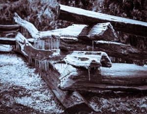 Duotone of ice-covered split-rail log fence near Little Switzerland, North Carolina, following an ice-storm. NC021 Duotone of ice-covered split-rail log fence near Little Switzerland, North Carolina, following an ice-storm. NC021