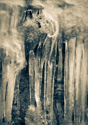 Ice detail, Blue Ridge Parkway, North Carolina, USA. CM009 Ice detail, Blue Ridge Parkway, North Carolina, USA. CM009