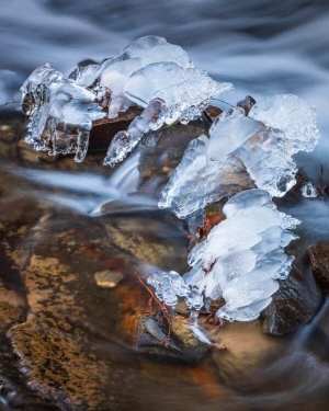 Ice Jewel . NC024 Ice Jewel. NC024