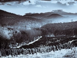 Duotone of a snowy landscape near Penland, North Carolina, with the Black Mountains ridge in the background. The highest point on this part of the ridge is Celo Knob. CM016