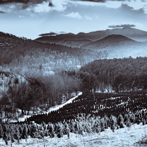 Duotone of a snowy landscape near Penland, North Carolina, with the Black Mountains ridge in the background. The highest point on this part of the ridge is Celo Knob. CM016
