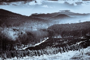 Snowy landscape, Penland, North Carolina, USA. CM016 Snowy landscape, Penland, North Carolina, USA. CM016
