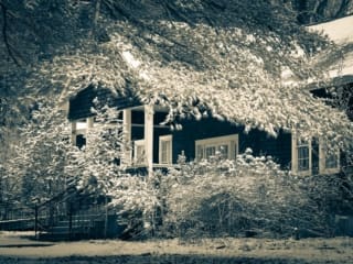 Duotone of house and snow-laden tree at Penland, North Carolina, USA. CM013