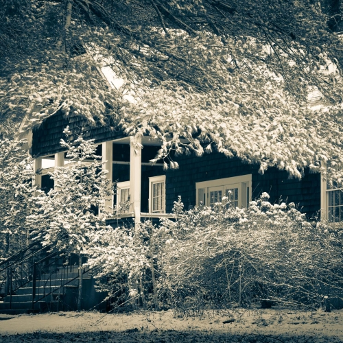 Duotone of house and snow-laden trees at Penland, North Carolina, USA. CM013