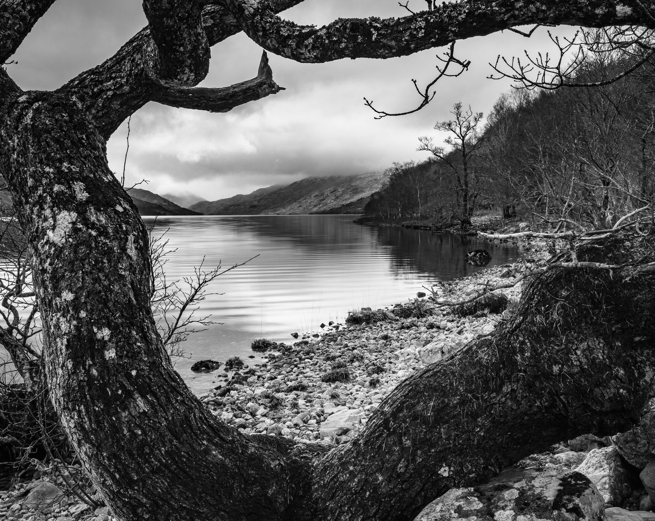 Loch Arkaig, Lochaber, Scotland. SM029