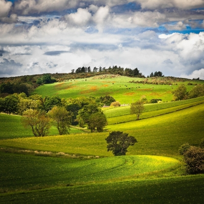 Fife Landscape Near Luthrie Scotland