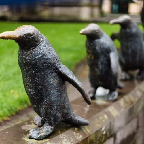 Three damp Dundee Penguins outside the City Churches in Dundee, Scotland. DD011