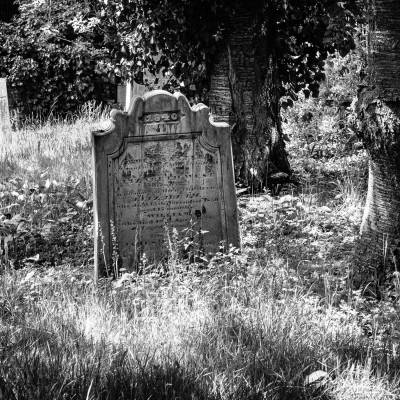 Monochrome image of gravestone in overgrown churchyard, Dundee, Scotland SM060