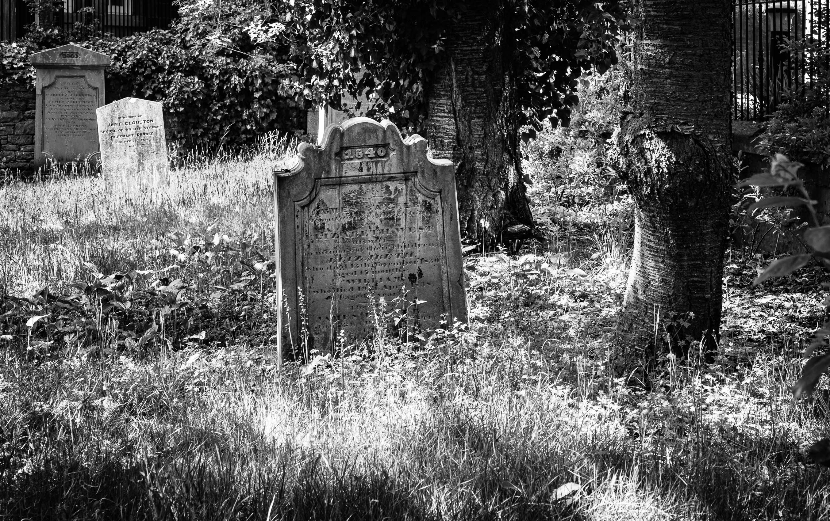 Monochrome (black and white) image of the overgrown graveyard of St Peter's Free Church, Perth Road, Dundee, Scotland. DD052