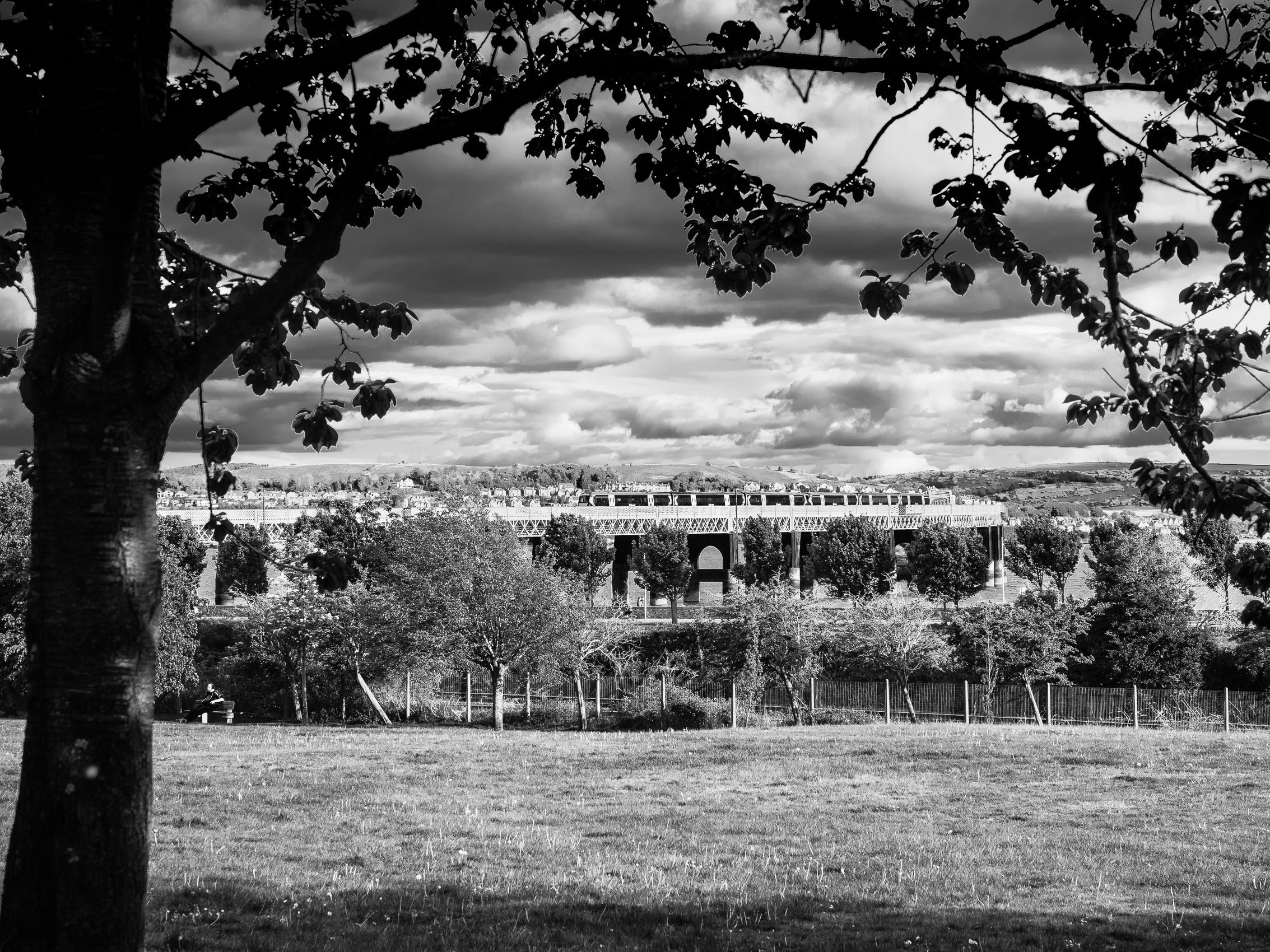 Monochrome image of the Tay Rail Bridge from Magdalen Green, Dundee, Scotland. DD049