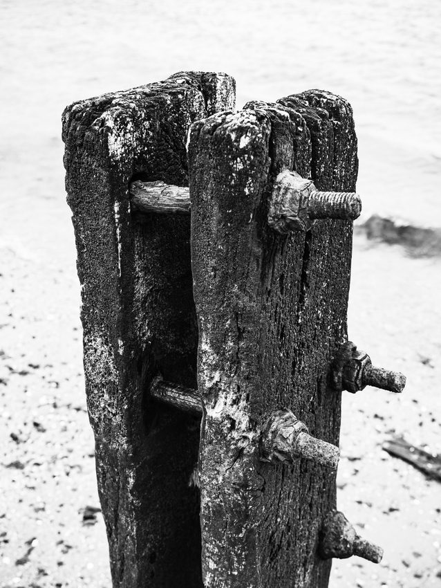 Monochrome (black and white) image of rotting groyne post on Broughty Ferry beach, Dundee, Scotland. DD072