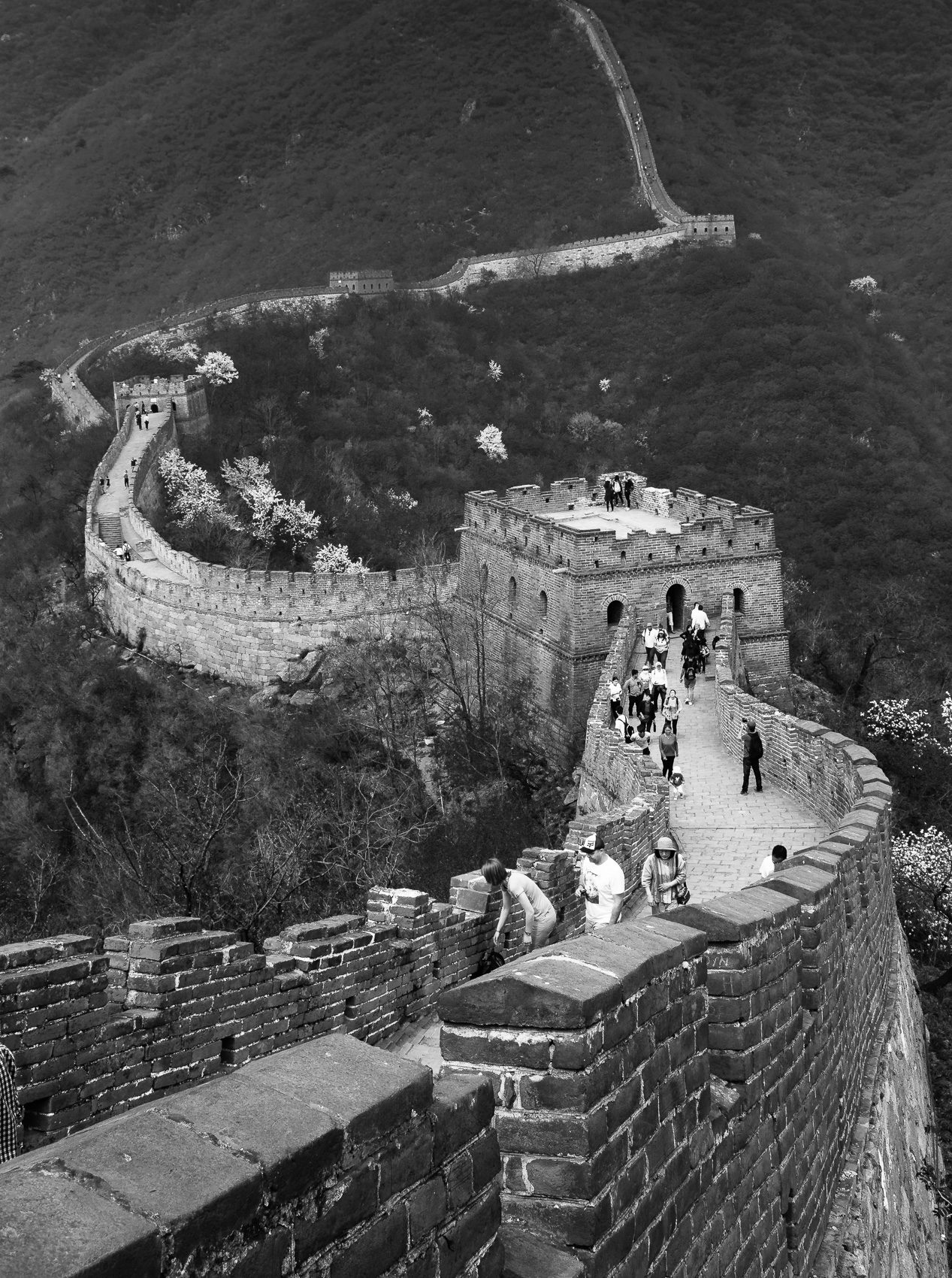 The Great Wall of China at Mutianyu, near Beijing. ZM008