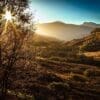 Autumn in Glen Ogle, Stirlingshire, Scotland. SH002