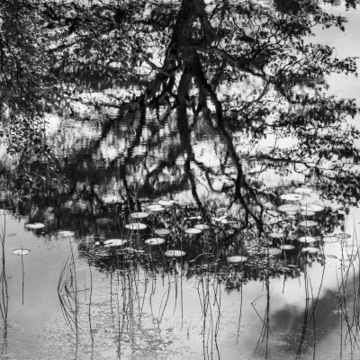 Reflection in Loch Coulin, Torridon, Scotland.