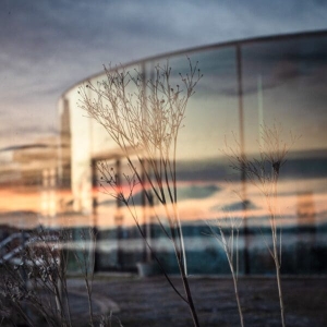 Reflection on glass panel, Broughty Ferry, Dundee, Scotland. DD173