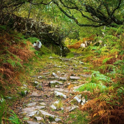The ancient track from Ard Dubh to Ardban, Applecross, Scotland. AP022 The ancient track from Ard Dubh to Ardban, Applecross, Scotland. AP022