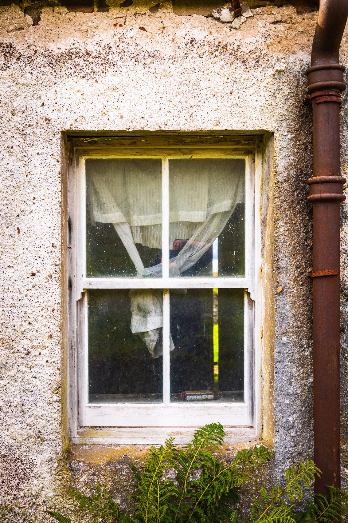 Curtained window of an abandoned croft house, near Callakille, Scotland. AP020