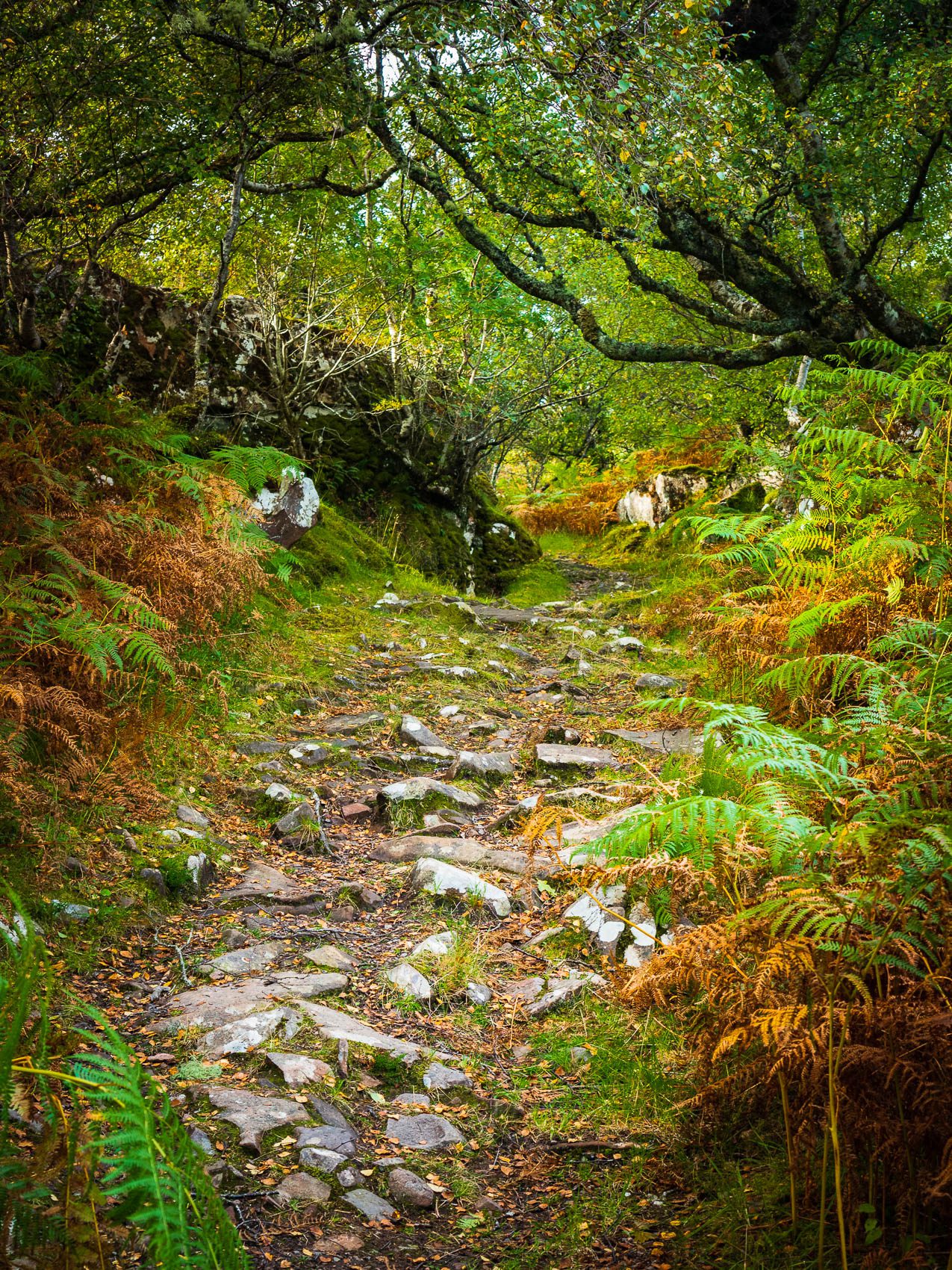 The ancient track from Ard Dubh to Ardban, Applecross, Scotland. AP022