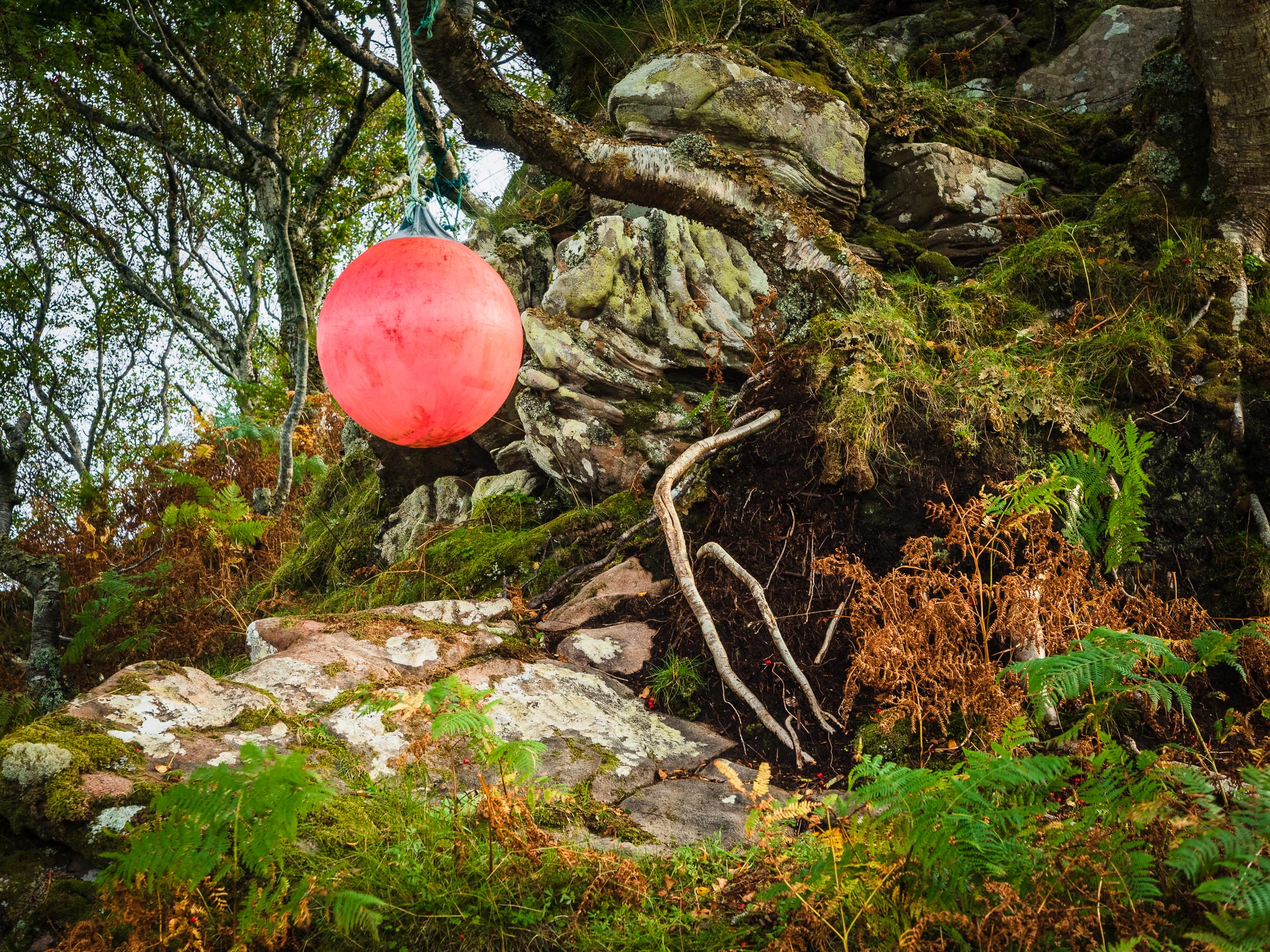Buoy hung on a tree beside Poll Domhain, Applecross, Scotland. AP024