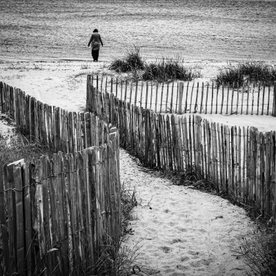 Dune fencing on the beach at Broughty Ferry, Dundee, Scotland SM059