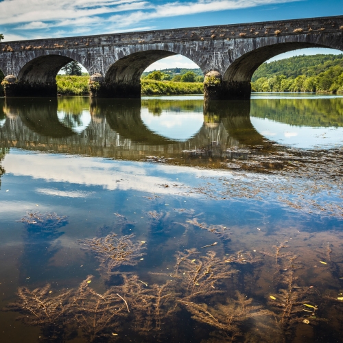 Water weed and the 'Avonmore Bridge', at Cappoquin, County Waterford. BW017