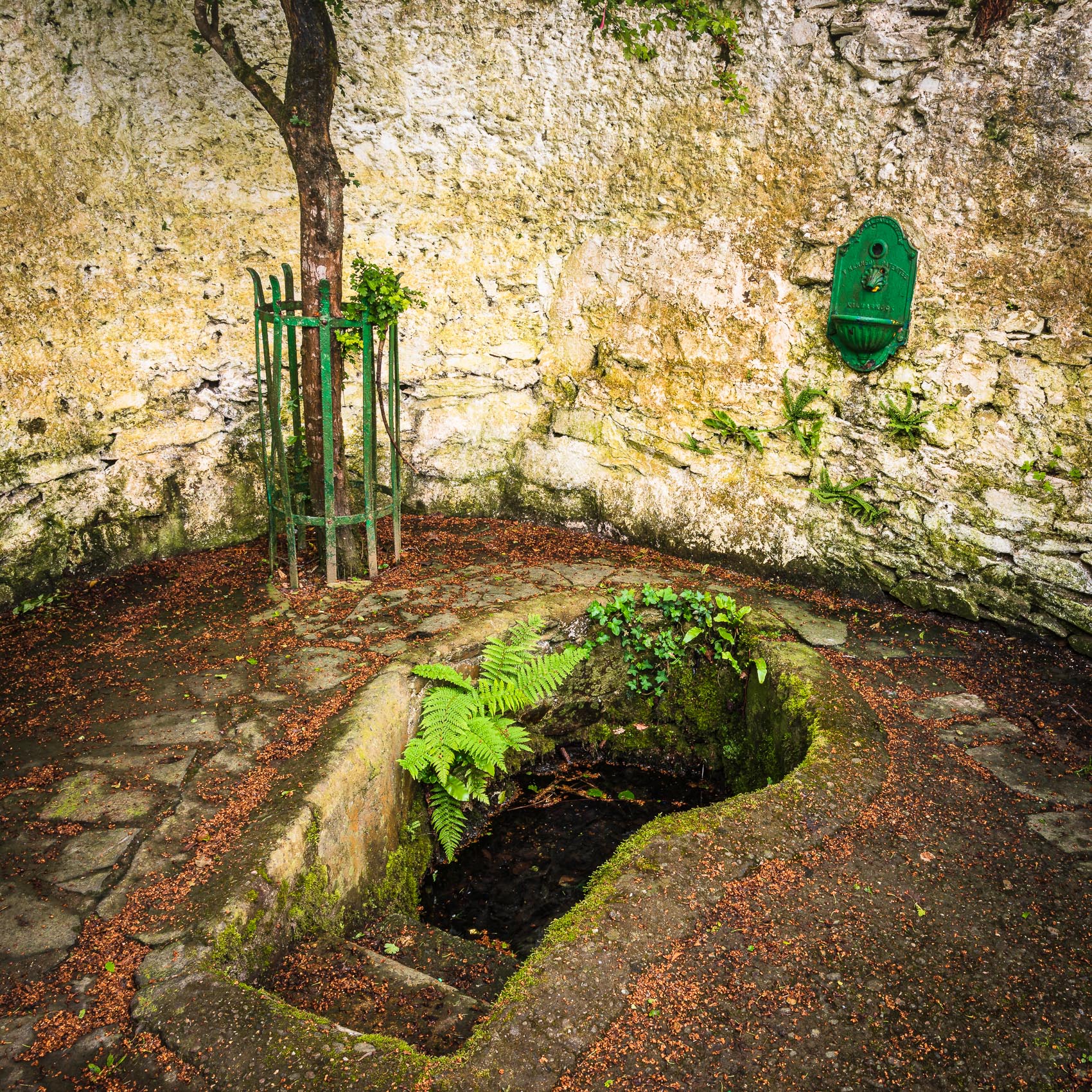 St Bernard's Well by the River Blackwater near Fermoy, County Cork, Ireland. BW027