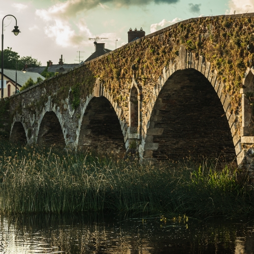 Reeds by the bridge over the River Barrow at Graiguenamanagh, County Kilkenny, Ireland. BR013
