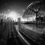 Metal whale sculpture, Dundee waterfront, Dundee, Scotland. DM015