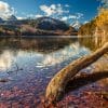 The Alpsee, Bavaria, Germany.
