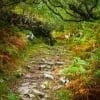 The ancient track from Ard Dubh to Ardban, Applecross, Scotland.
