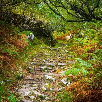 Ancient Track From Ard Dubh Ardban Applecross Scotland